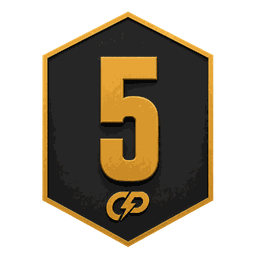 Escudo de la división 5